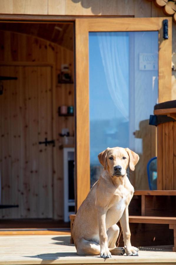 Вілла Barnhorn Glamping Hooe Екстер'єр фото