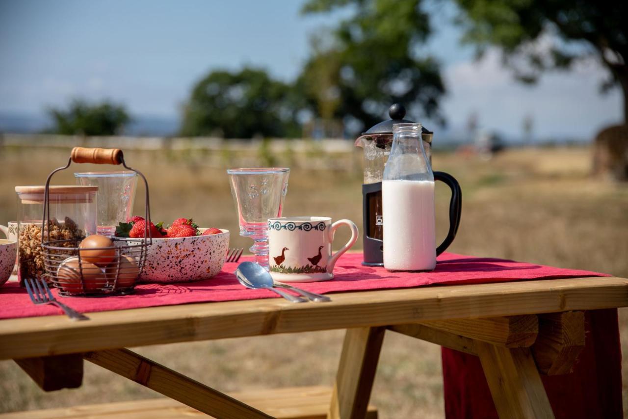 Вілла Barnhorn Glamping Hooe Екстер'єр фото